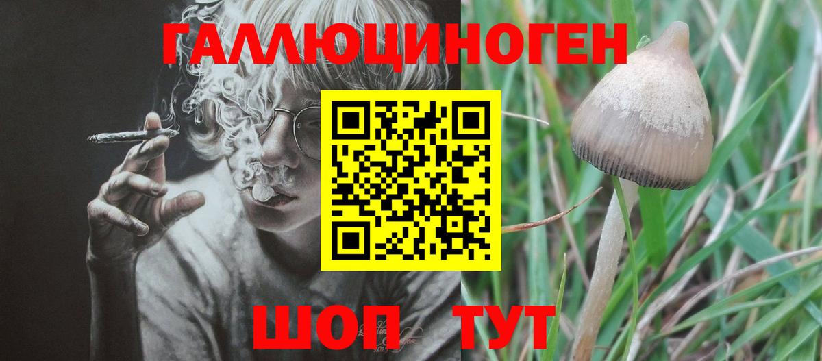 Каспийск  Галлюциногенные грибы прущие грибы  Вход с VPN 